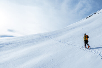 Sci alpinista nella neve fresca