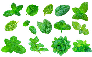 Set of Fresh Minthol leaves isolated on the white background. Melissa, Peppermint leaf close up. Food  Pattern.