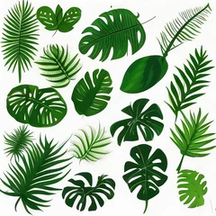 Behang Tropische bladeren set of green leaves