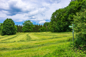 Swabian Alb Landscape