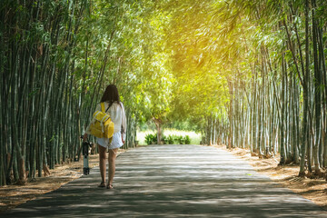 Back view of young woman with photo backpack and holding tripod walks alone to find photoshoot location in bamboo garden. Photographer female fun happy with walking travel nature in the bamboo forest.