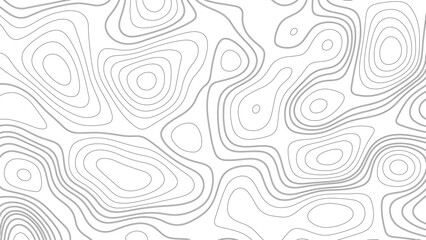 Topographic map. Geographic mountain relief. Abstract white topography vector background. Line topography map design. The concept of conditional geographical pattern and topography.	