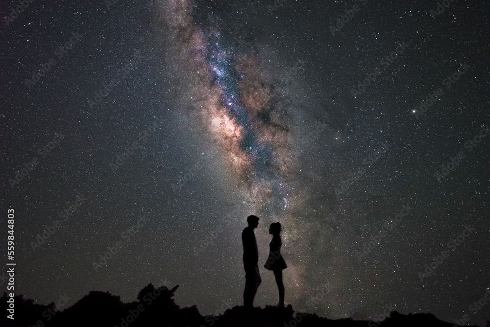 Wall mural the universe wouldn't be the same without you