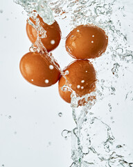 High Speed Photography Eggs Water Splash