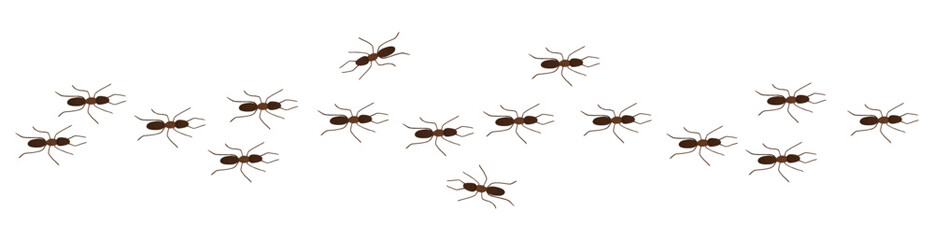 Ant trail row in hand drawn cartoon style
