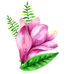 Bouquet of watercolor magnolia and leaves isolated on white background.
