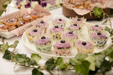 Heidelbeere cupcakes auf dem sweet table für die Hochzeit - 559850031
