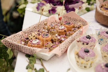 Kleine Kuchen und cupcakes für die Hochzeit - 559850479