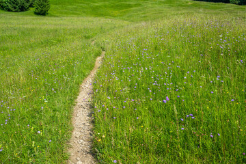 Path in the Village of Gurtis in the Walgau Valley, Vorarberg, Austria