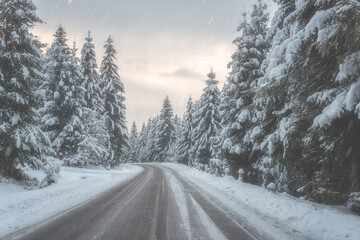 Narrow winding mountain road surrounded by fir forest during snowfall, scenic winter landscape, natural outdoor travel background