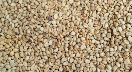 Roasted coffee bean pattern texture background. Raw food material.