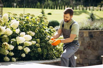 Garden worker trimming flower bushes with garden scissors