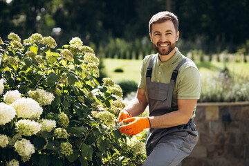 Garden worker trimming flower bushes with garden scissors