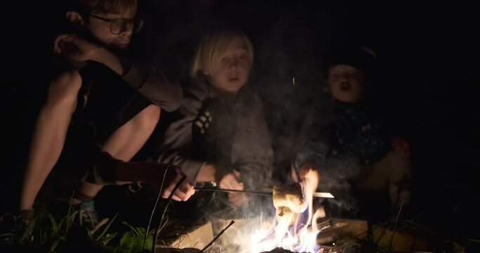 Children sit by fire and fry marshmallows on sticks. Two brothers and sister spend time in evening at picnic by bonfire