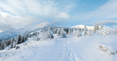 Fototapeta na wymiar Morning winter mountain panorama.