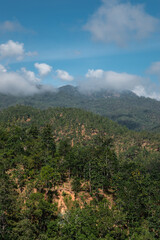 Fototapeta na wymiar Tropical mountains, rainforest landscape from East Asia