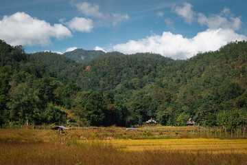 Northern Thailand landscape with rice fields, tropical green forests and hills