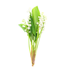 White flowers lilies of the valley isolated in PNG isolated on transparent background - obrazy, fototapety, plakaty