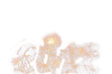 Red colorful fireworks  in PNG isolated on transparent background. Holiday celebration