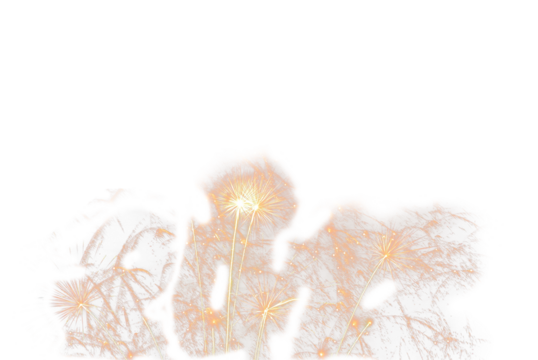 Red colorful fireworks  in PNG isolated on transparent background. Holiday celebration