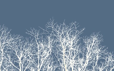 background with transparent tree branches