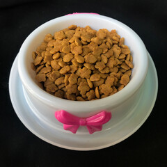 Photo of a Place Where Cats and Dogs Eat with a Black Background.