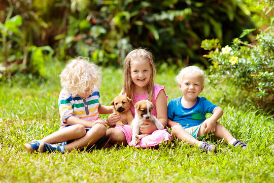 Kids play with puppy. Children and dog in garden.