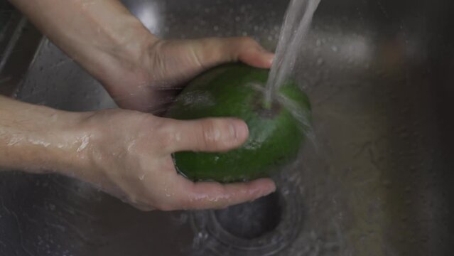 man hands wash green huge avocado in the sink. HLG3, BT.2020