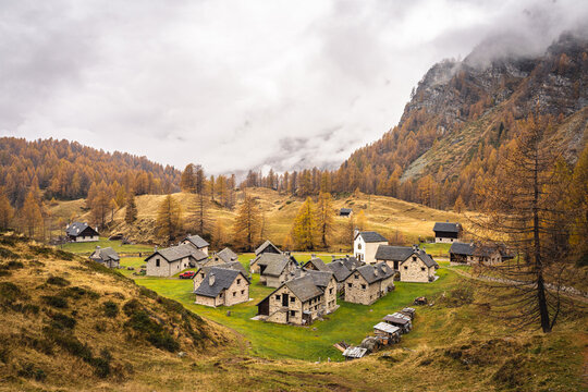 Foliage a Crampiolo, Alpe Devero