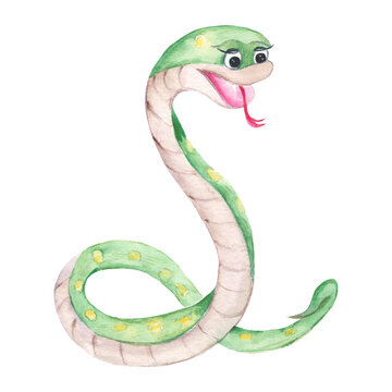 Cute snake isolated on white background. Watercolor hand drawn illustration. Perfect for kid illustrations, prints, decals, stickers.