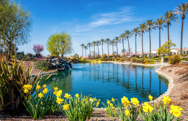A pond filled with beautiful bright blue water surrounded by flowers and palm trees at the trilogy community in rio vista california.