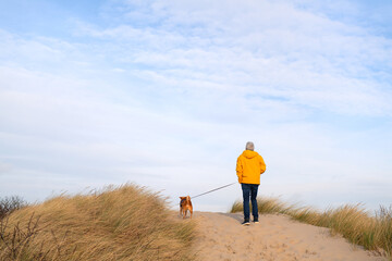 Man walking the dog at the beach - 559874660
