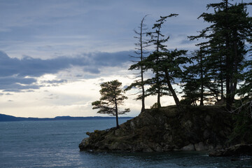 Dark moody sky over a small bluff with trees above the ocean with bright sky behind single tree