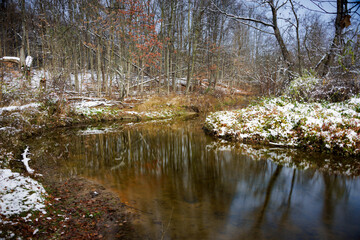 Van Raalte Reflections