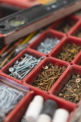 many different screws in the  organizer of master for work