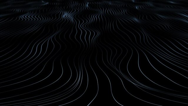 Abstract wavy blurred lines on black background with pattern seamless loop animation.