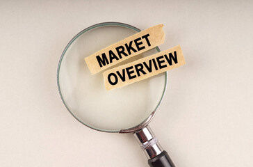 On the magnifying glass are paper strips with the inscription - MARKET OVERVIEW