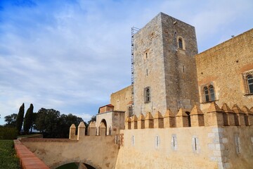 Fototapeta na wymiar Palace of the Kings of Majorca in Perpignan