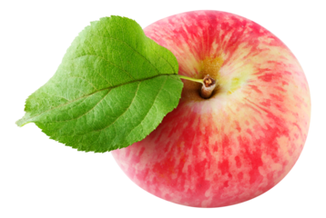 One striped red apple with leaf view from above, cut out
