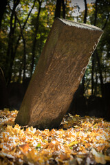 Stary zabytkowy cmentarz żydowski w Warszawie, Stare nagrobki żydowskie pośród drzew.