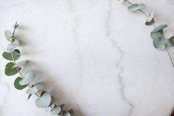 eucalyptus branches flat lay frame marble background