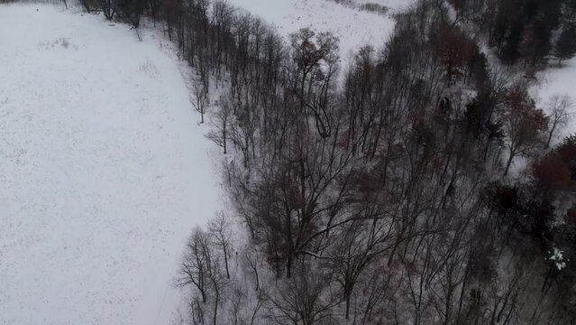 Snowy Winter Forest Drone Video in the Midwest