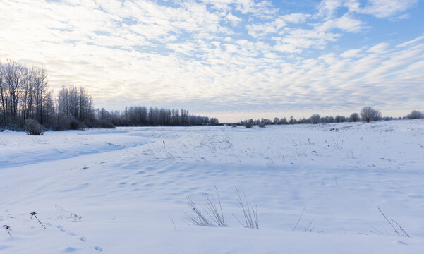 Winter landscape photo with snowy river bank and bare trees