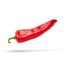 red chili pepper  isolated