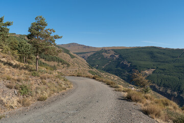 Fototapeta na wymiar dirt road in Sierra Nevada in southern Spain