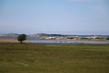 Landscape of Stora Amundön island in Gothenburg, Sweden