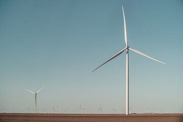 a field full of windmills