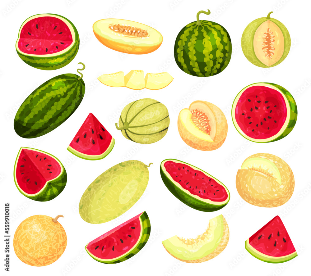 Poster Fresh, juicy melon and watermelon whole and slices set. Tasty ripe fruit vector illustration