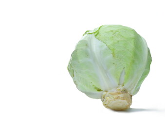 Fototapeta premium cabbage on table with white background no people stock image stock photo 