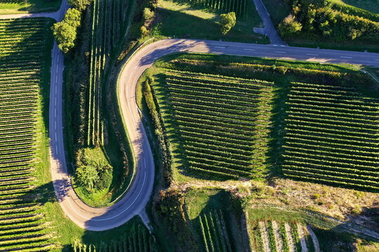 Luftaufnahme vom Texaspass am Kaiserstuhl mit Blick auf die Weinberge. Oberbergen, Breisgau, Schwarzwald, Freiburg, Baden-W&uuml;rttemberg, Deutschland.